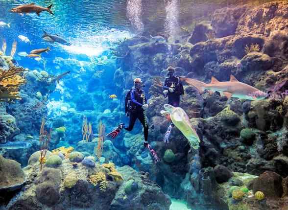 Memorial Day Tampa Bay