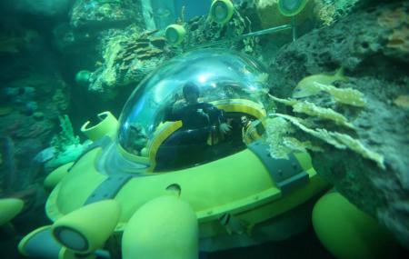 Memorial Day Virginia Beach