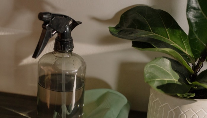 Memorial Day DIY Project: Spring Clean Your Home