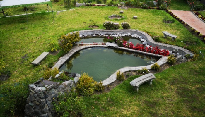 Memorial Day DIY Project: Build a Pond